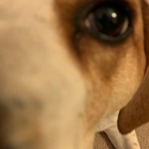 Meet your Posher, Liz